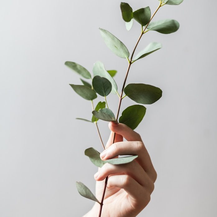 Psychologe Kostenzuschuss Krankenkasse, ÖGK, BVAEB, SVS