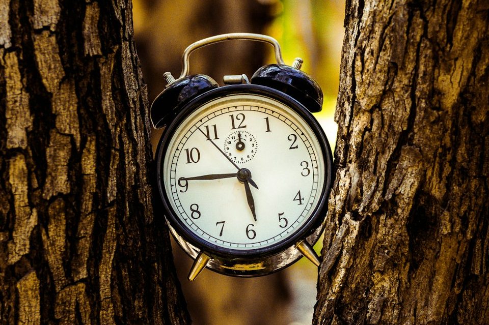 Psychologische Einheit - Absagen