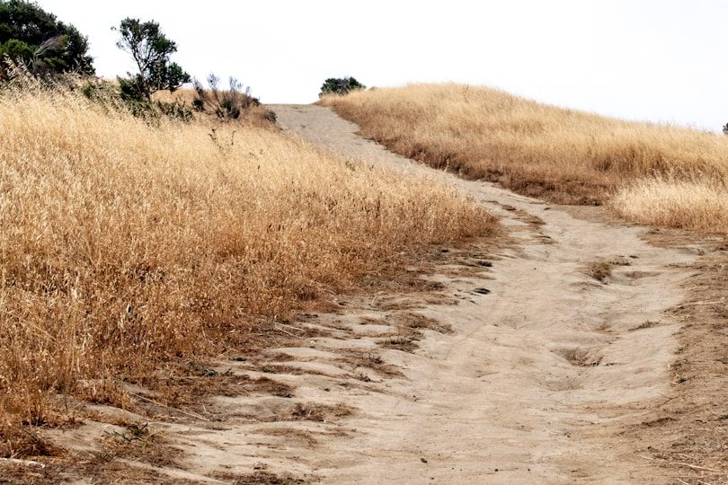 Psychologische Einheit - Ablauf